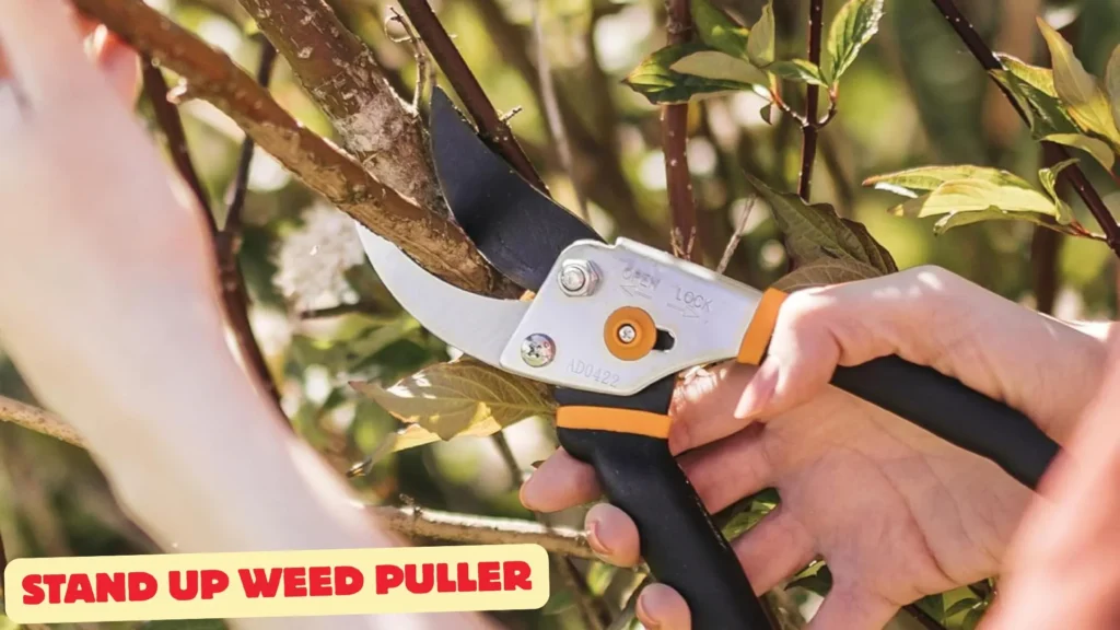 Garden Clippers Fiskars Elite Bypass Pruning Shears, 5/8-Inch Cut Capacity