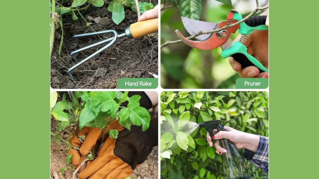 Gardening Tools